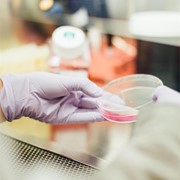 Especialistas en análisis de sangre y otro tipo de analíticas
