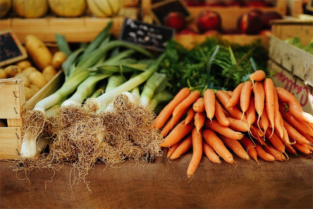 Especialistas en dietética y nutrición en Cangas